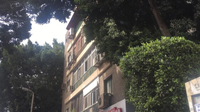 Google Photo 1
