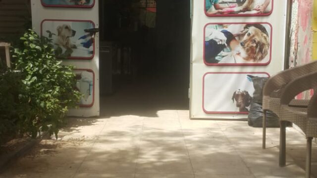 Google Photo 2