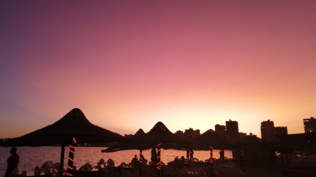 Google Photo 3