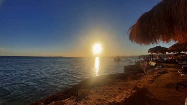 Google Photo 1