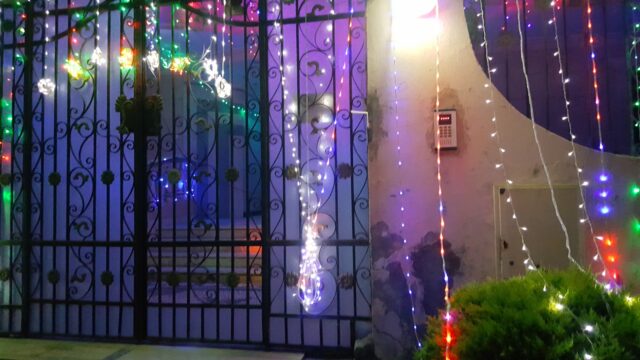 Google Photo 1