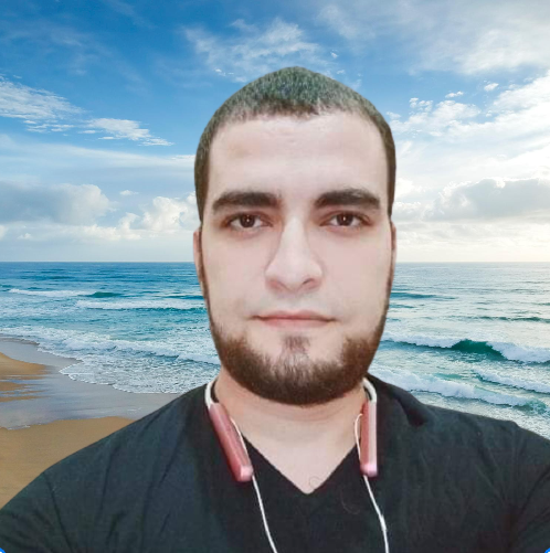 محمود عيد المحاسب القانونى