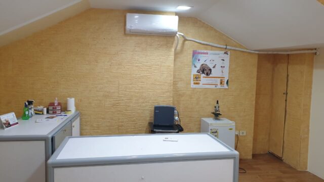 Google Photo 3