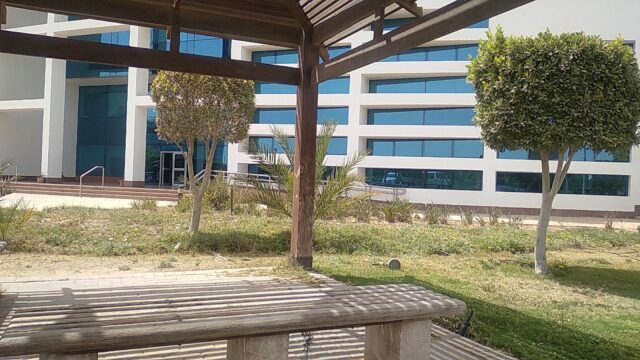 Google Photo 4
