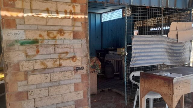 Google Photo 1