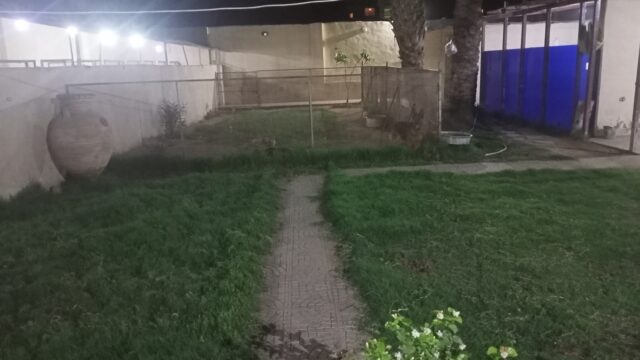 Google Photo 5