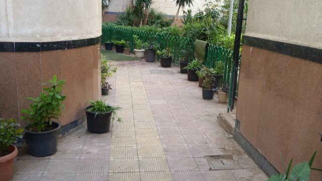 Google Photo 6