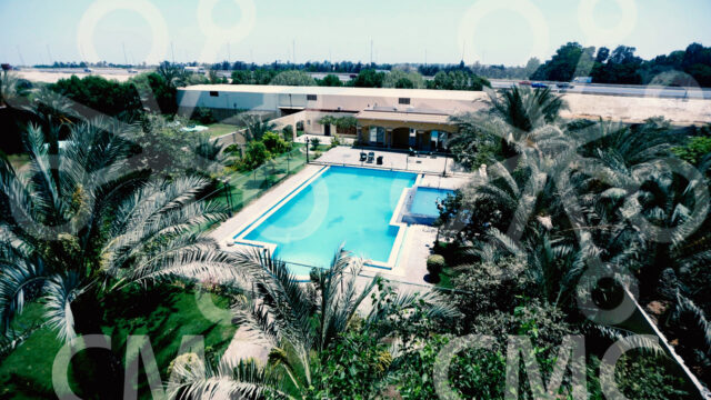 Google Photo 1