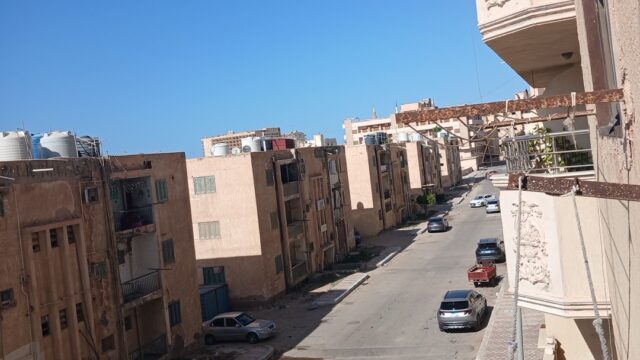 Google Photo 5