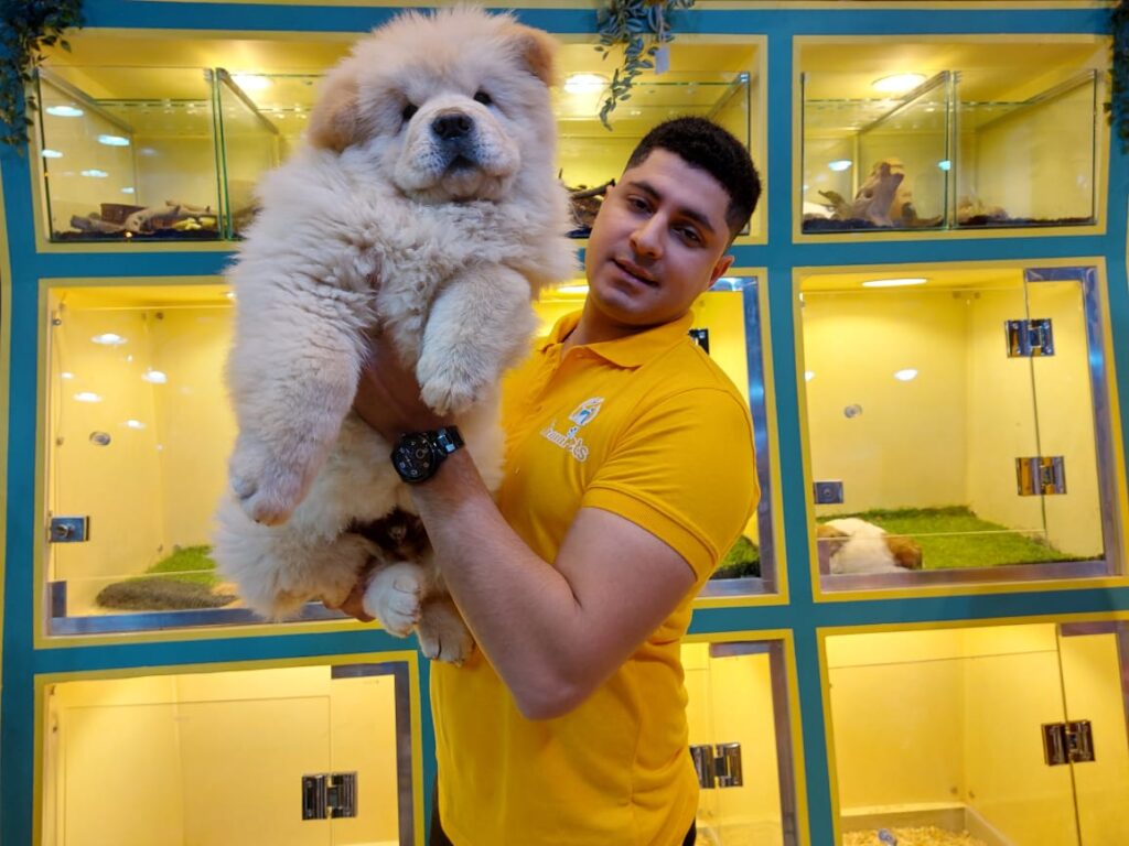 Sham Pets Veterinary Clinic and Pet Shop