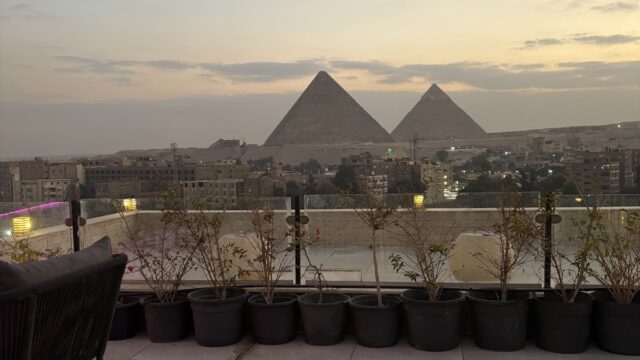 Google Photo 5