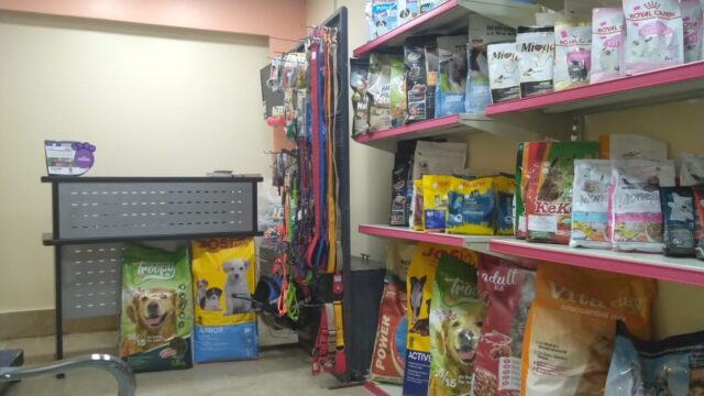 Google Photo 3