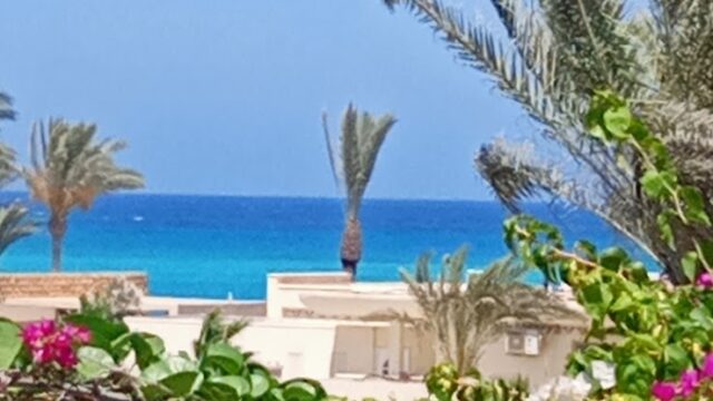 Google Photo 4
