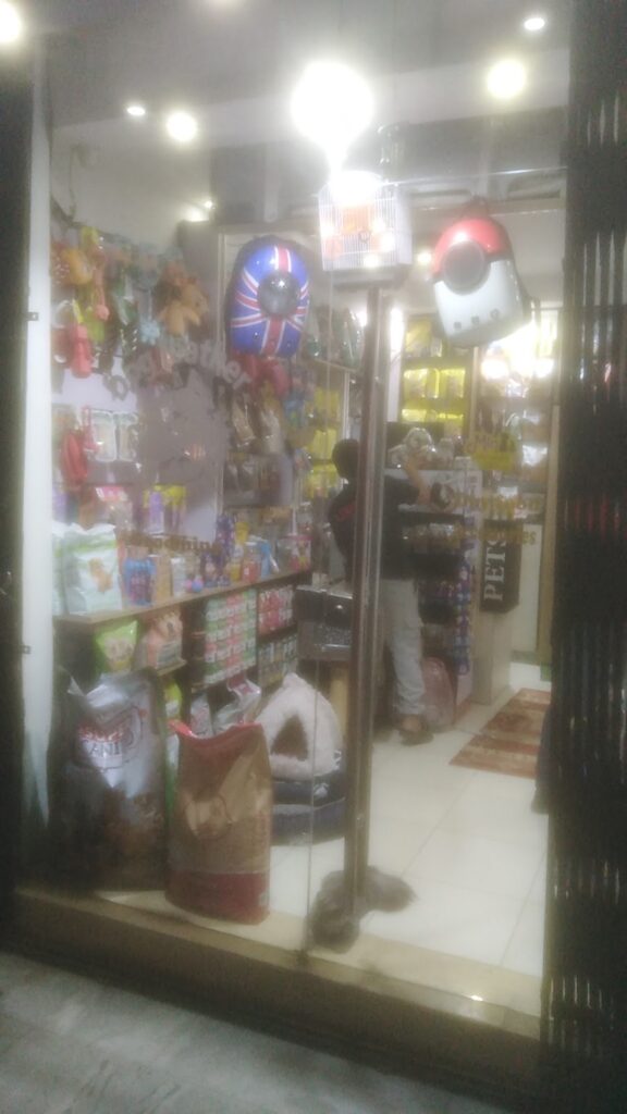 Dog Leather