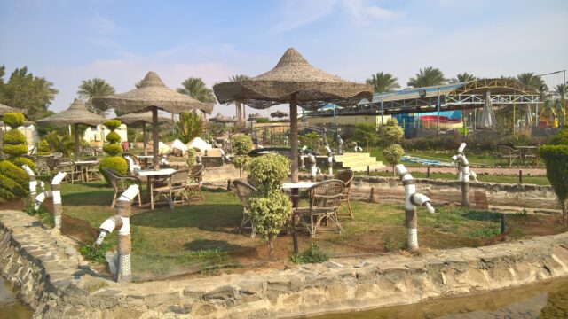 Google Photo 5