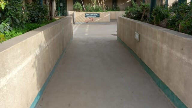 Google Photo 3