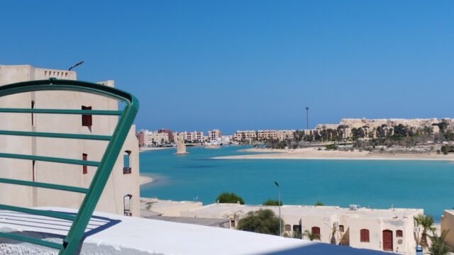 Google Photo 2