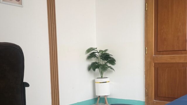 Google Photo 3