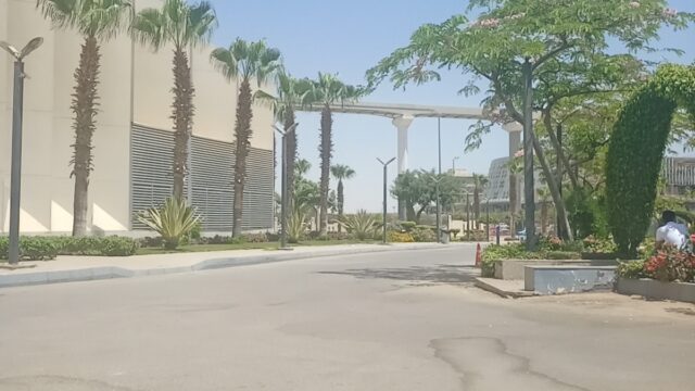 Google Photo 4