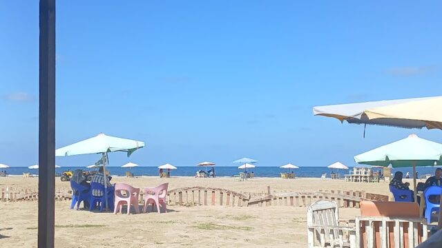 Google Photo 3