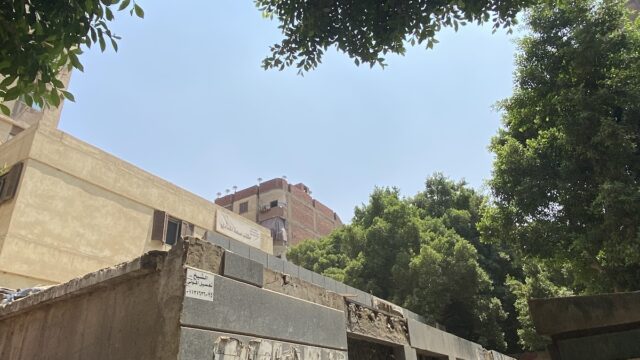 Google Photo 5
