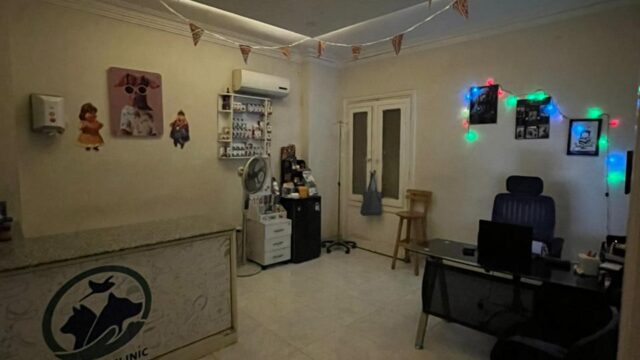 Google Photo 3