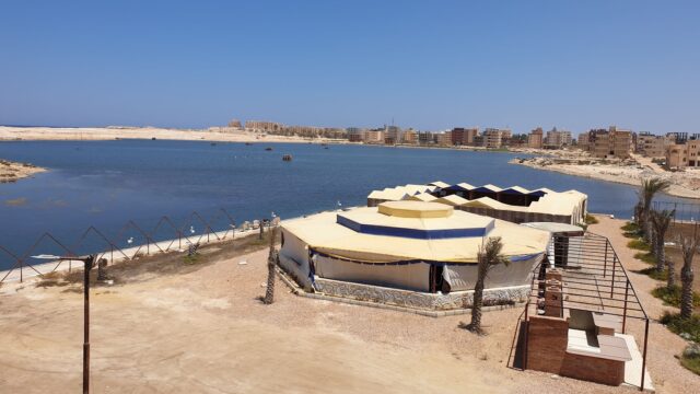 Google Photo 5