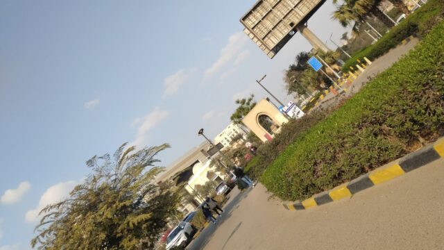 Google Photo 1
