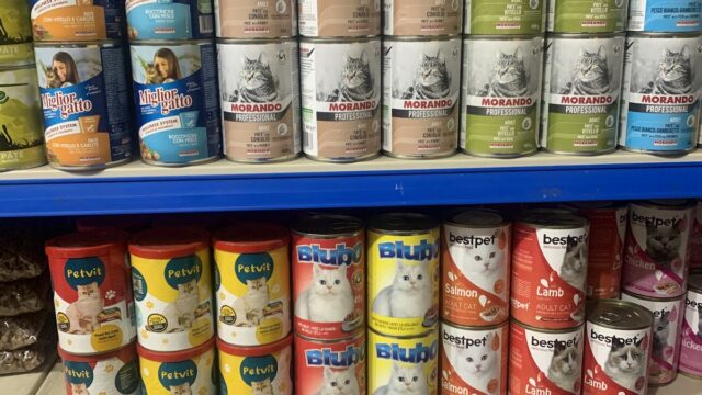 Google Photo 3