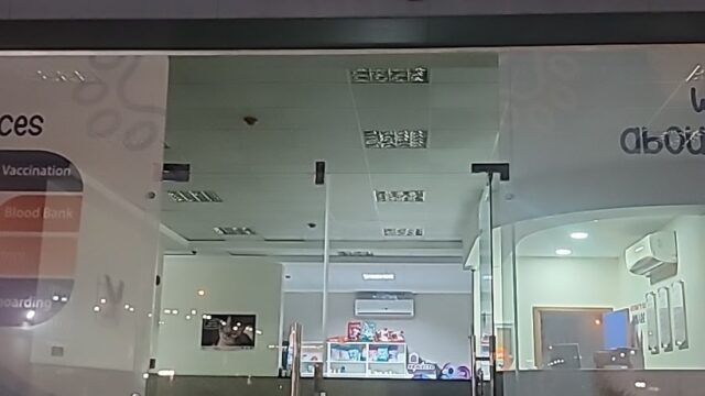 Google Photo 3