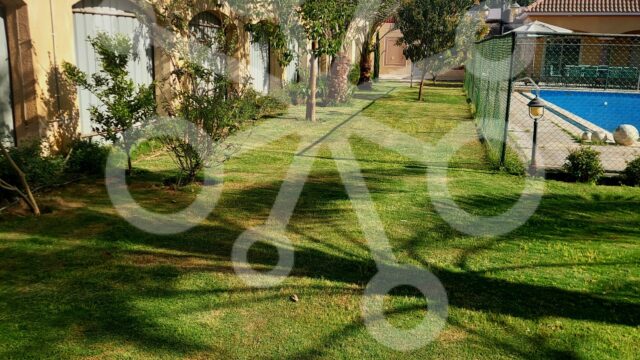 Google Photo 4