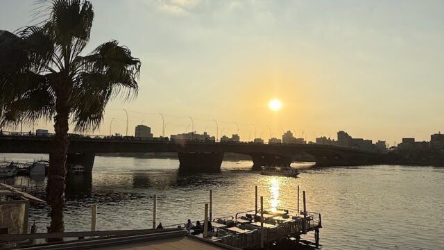 Google Photo 5