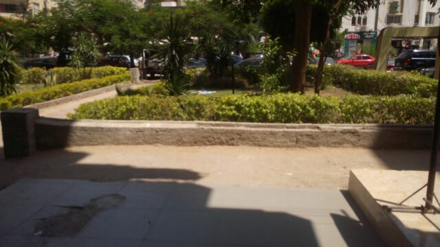 Google Photo 3