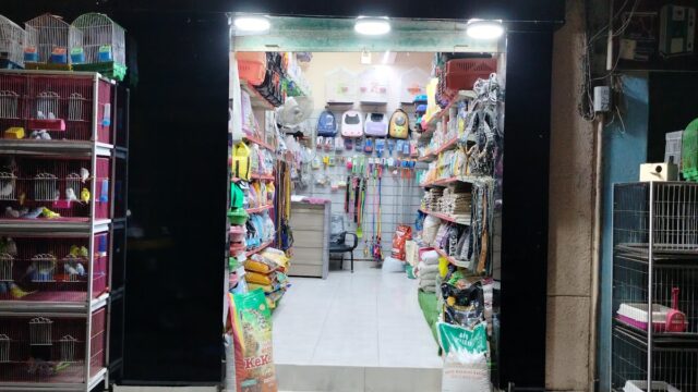 Google Photo 1