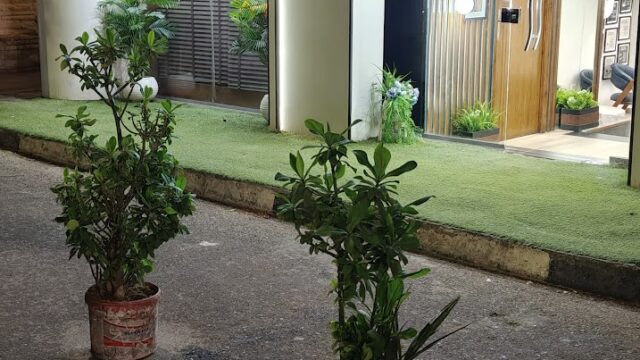 Google Photo 2