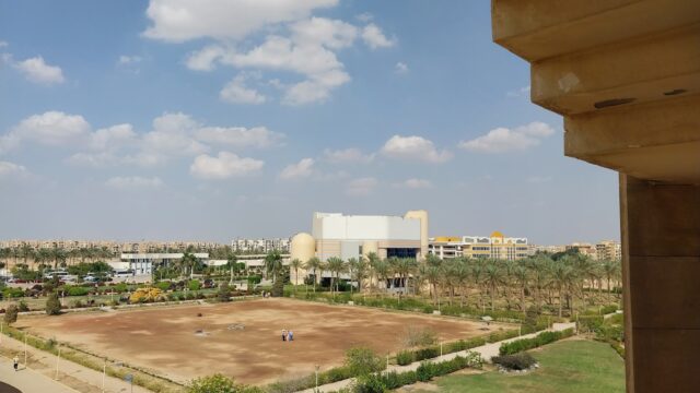 Google Photo 4