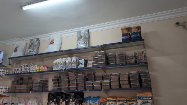Google Photo 3