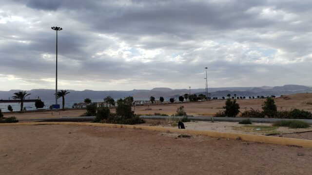 Google Photo 3