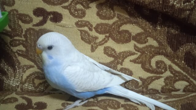 Google Photo 2