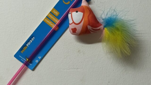 Google Photo 4