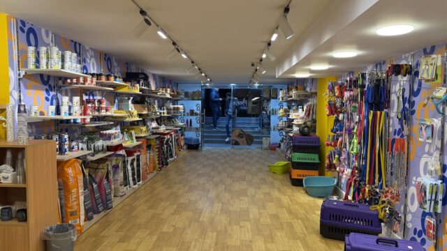 Google Photo 1