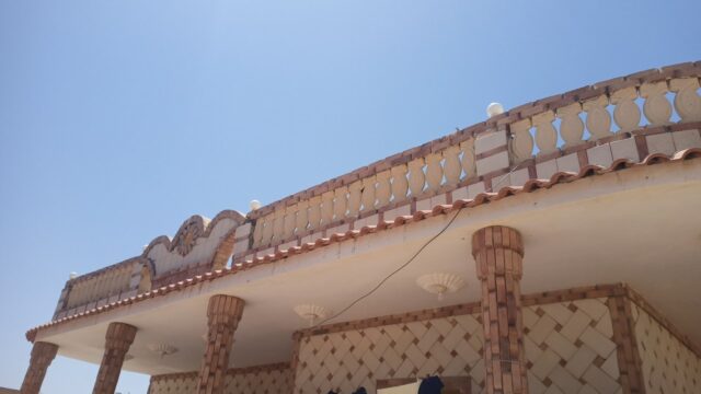 Google Photo 5