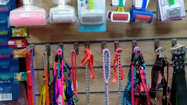 Google Photo 2