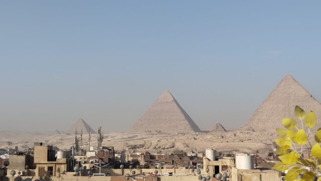 Google Photo 5