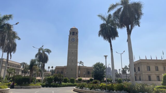 Google Photo 3
