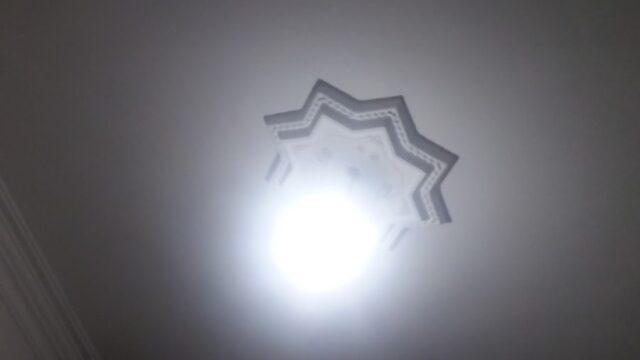 Google Photo 5