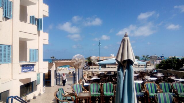 Google Photo 3