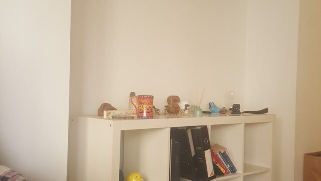 Google Photo 2