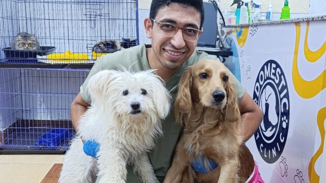 Google Photo 4