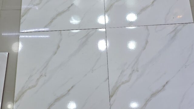 Google Photo 5